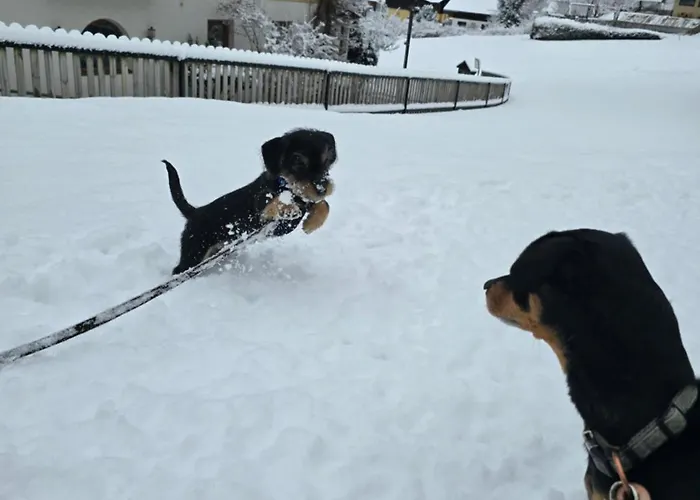 Kirchenwirt Hotel Bad Kleinkirchheim